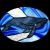 GrayWhale