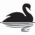 GeoSwany